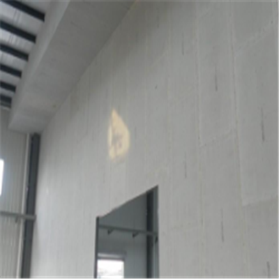 宁国宁波ALC板|EPS加气板隔墙与混凝土整浇联接的实验研讨